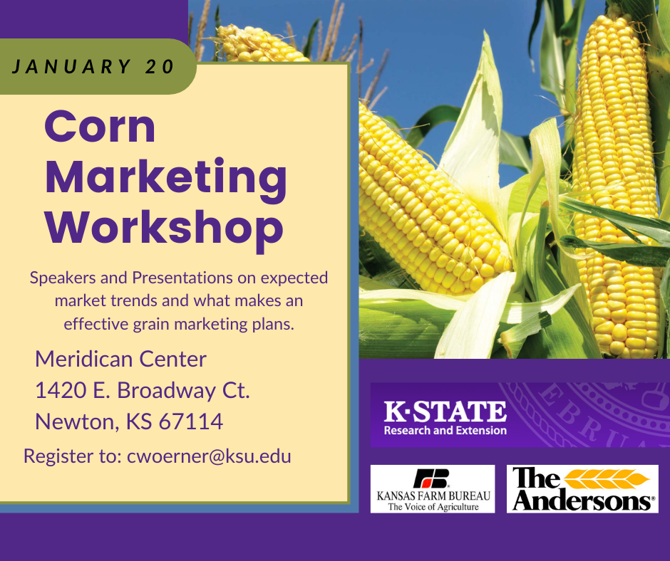 Corn Marketing Workhop