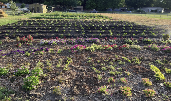 giving garden